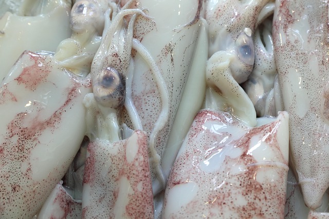 La nostra missione - Zona Giusta