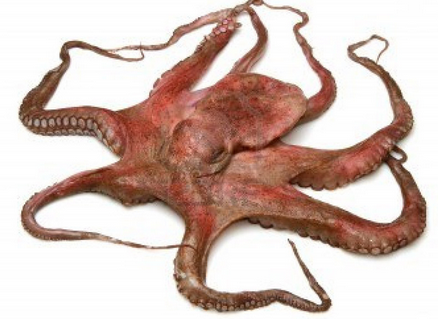 Immagine Arrotolato - Zona Giusta